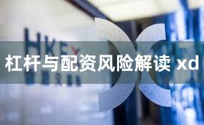 杠杆与配资风险解读 xd