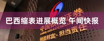 巴西缩表进展概览 午间快报