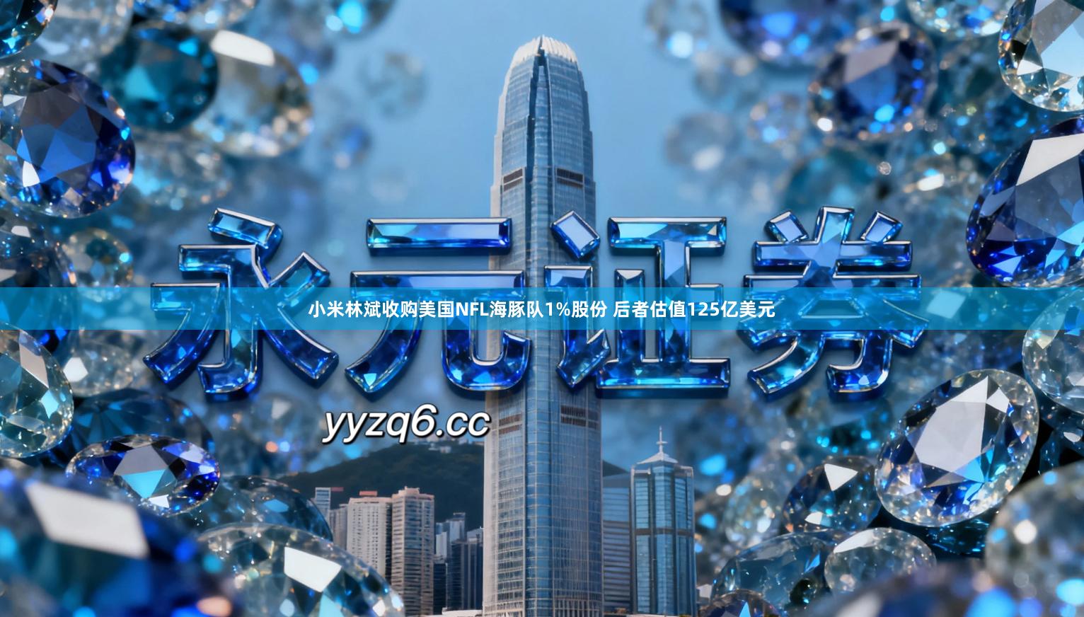 小米林斌收购美国NFL海豚队1%股份 后者估值125亿美元